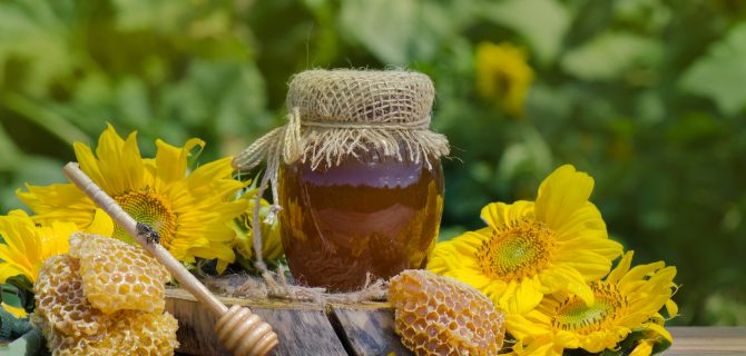 Hohey in glass jars  and  western honey bee. Honey Bee on nature  background . Bee sitting on  glass of honey. Honey in glass jar with flying honey bee